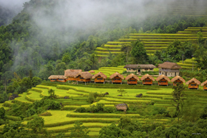 Écolodge-au-Vietnam